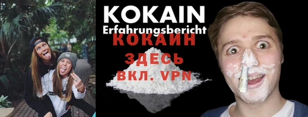 прущие грибы Нея