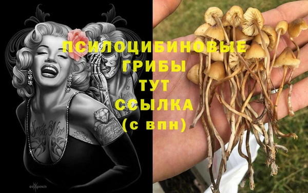 не бодяженный Нефтекумск
