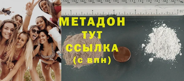шишки Гусиноозёрск